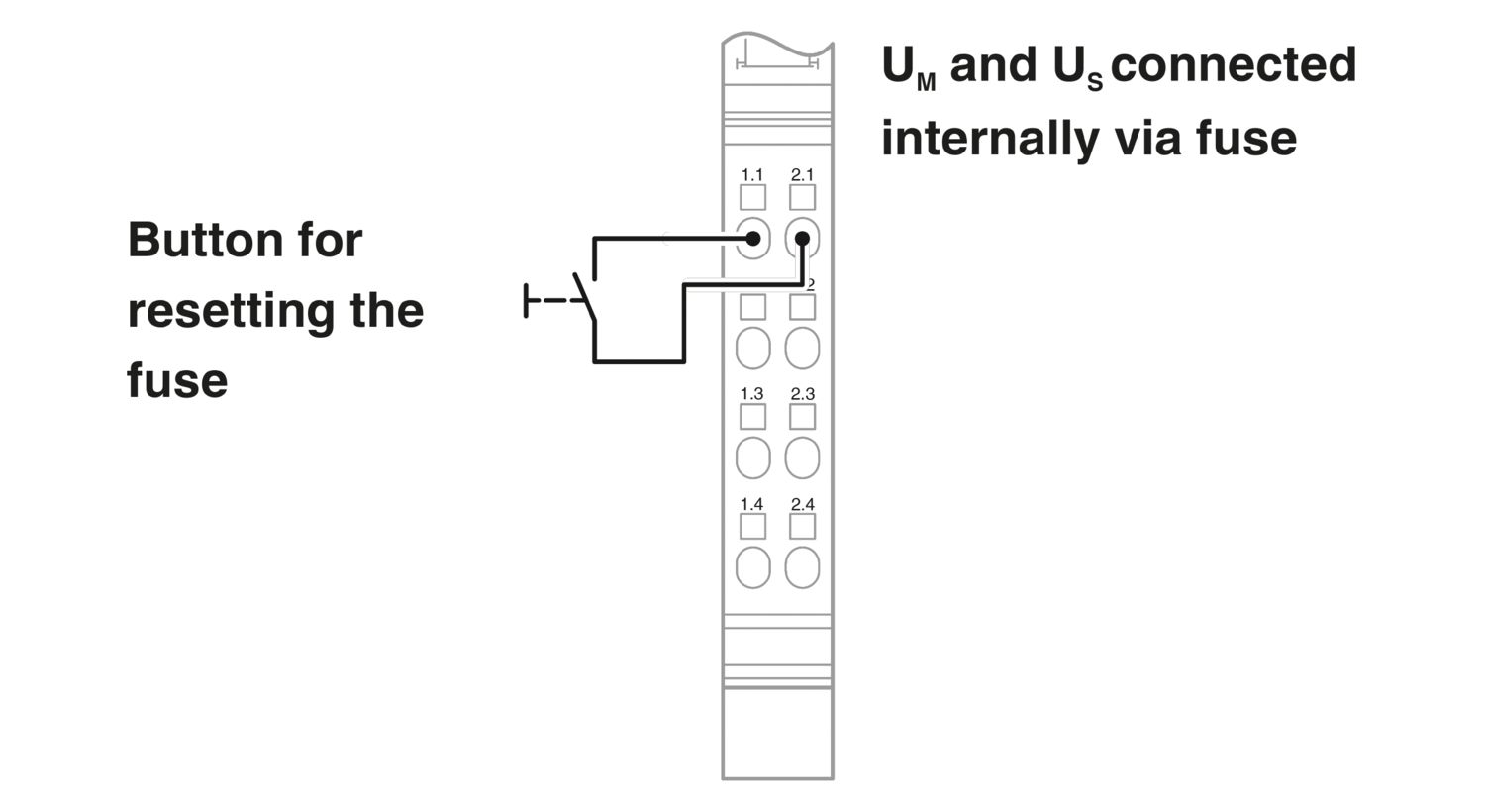 IB IL 24 SEG-ELF-PAC - Módulo de segmentação - PHOENIX CONTACT - Imagem 4