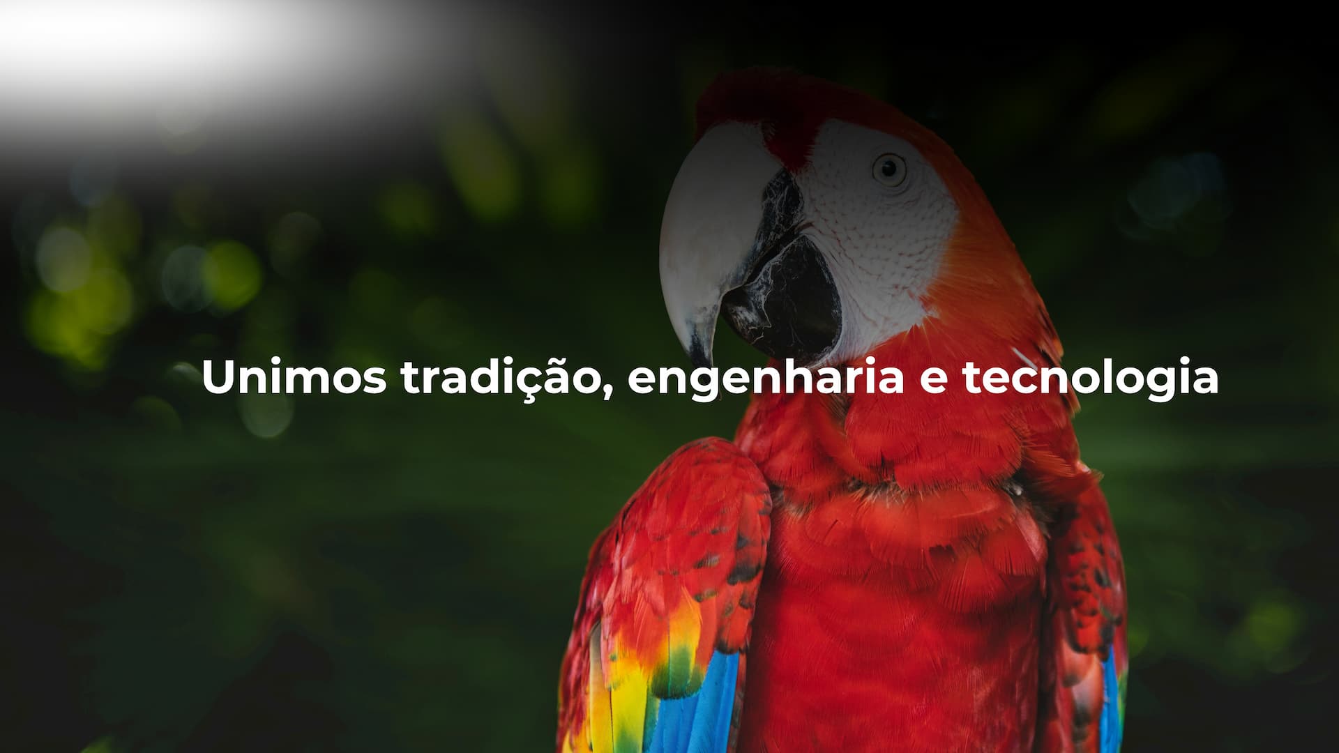 Cópia de Cópia de Banner para site moderno de compra online e segura azul e branco (1) (1)