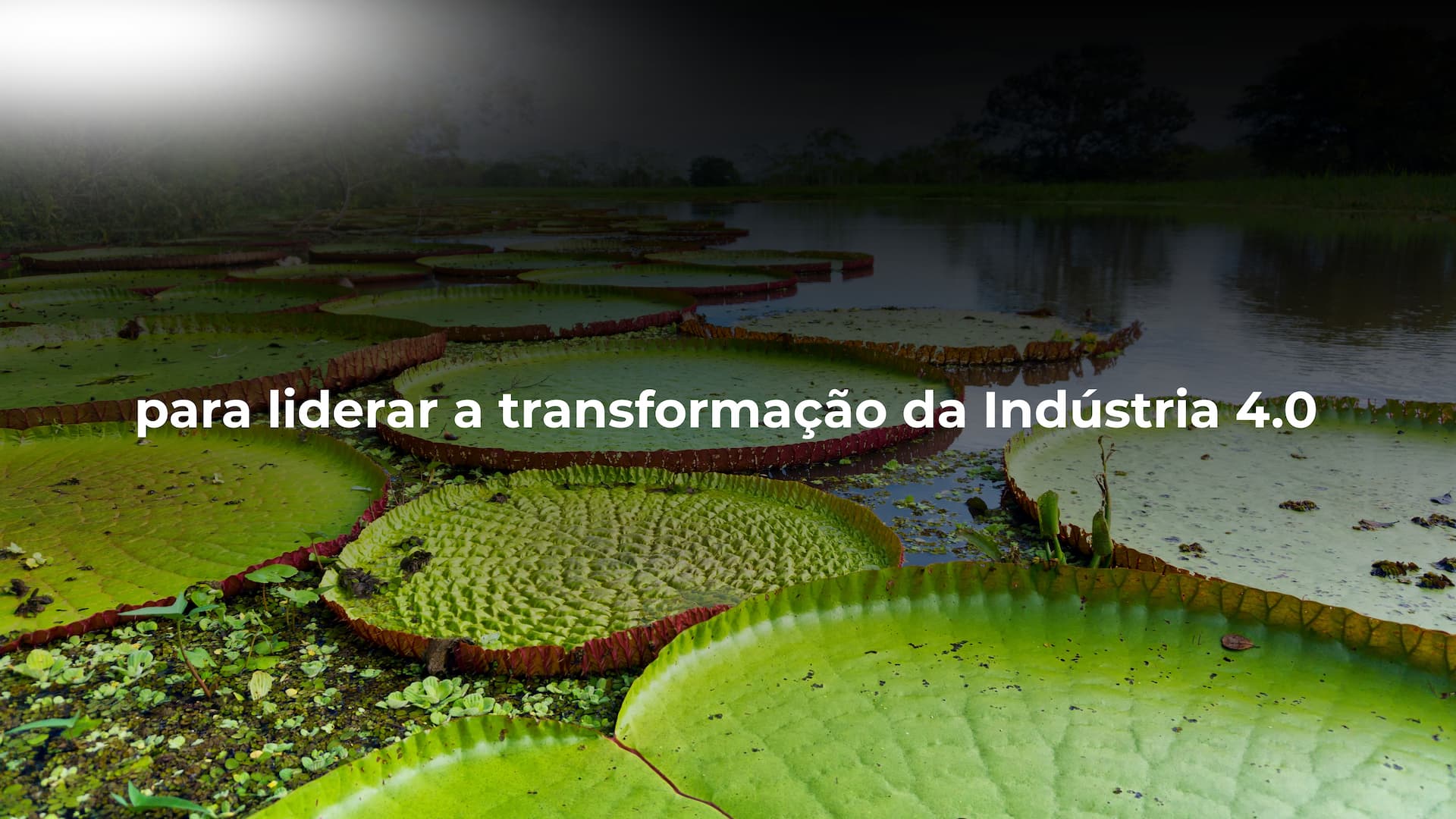 Cópia de Cópia de Cópia de Banner para site moderno de compra online e segura azul e branco (1)